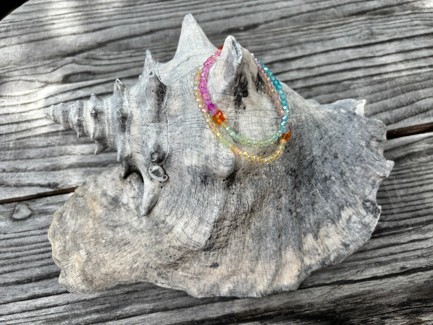 The Rainbow Butterfly