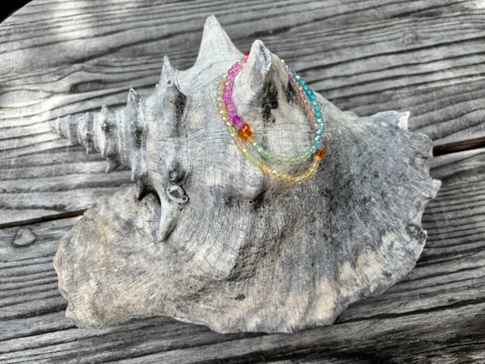 The Rainbow Butterfly