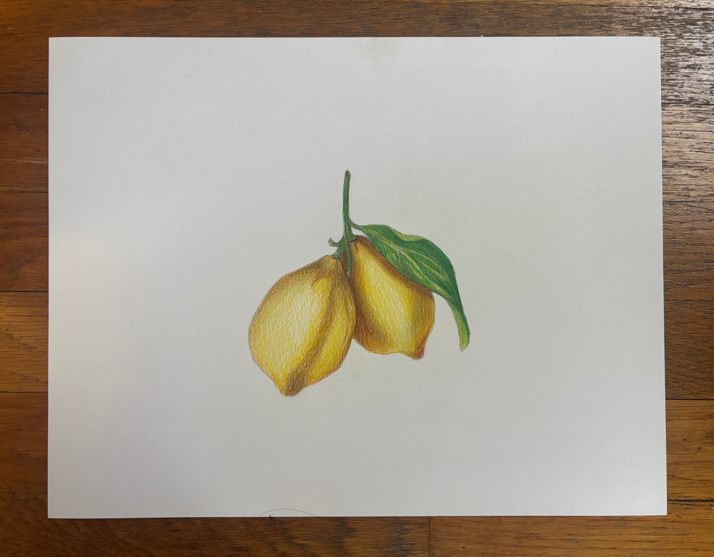 Fruit Series (Two Lemons)