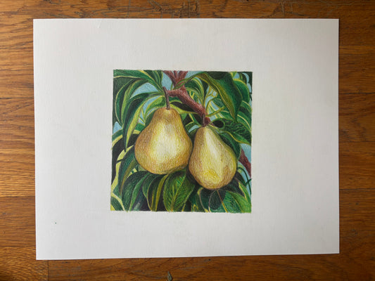 Fruit Series (Two Pears)