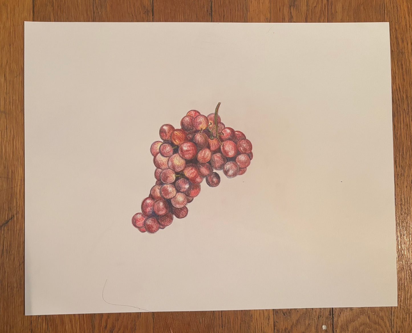 Fruit Series (Grapes)
