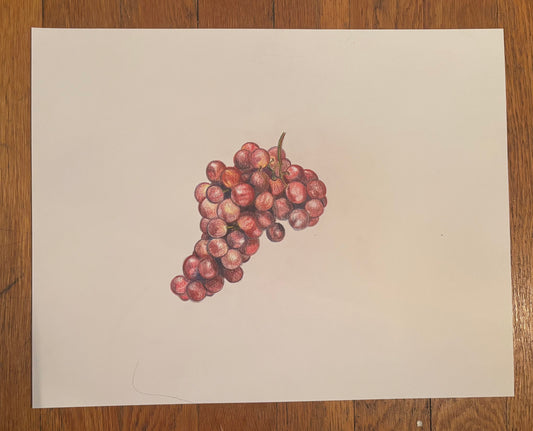 Fruit Series (Grapes)